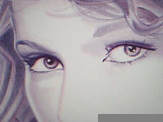 Taylor Swift (macro close up).jpg - Sold